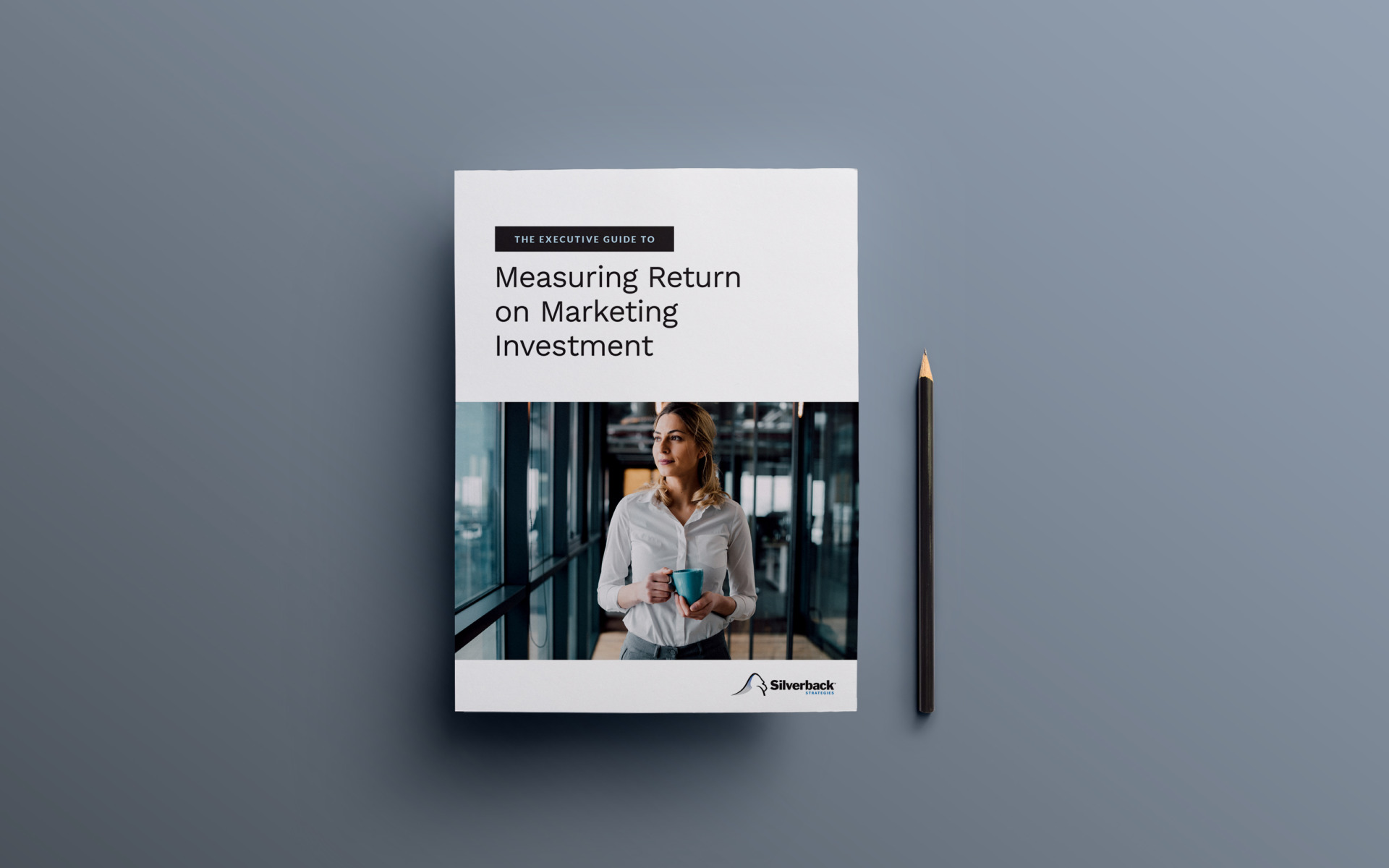 The Executive Guide to Measuring Return on Marketing Investment